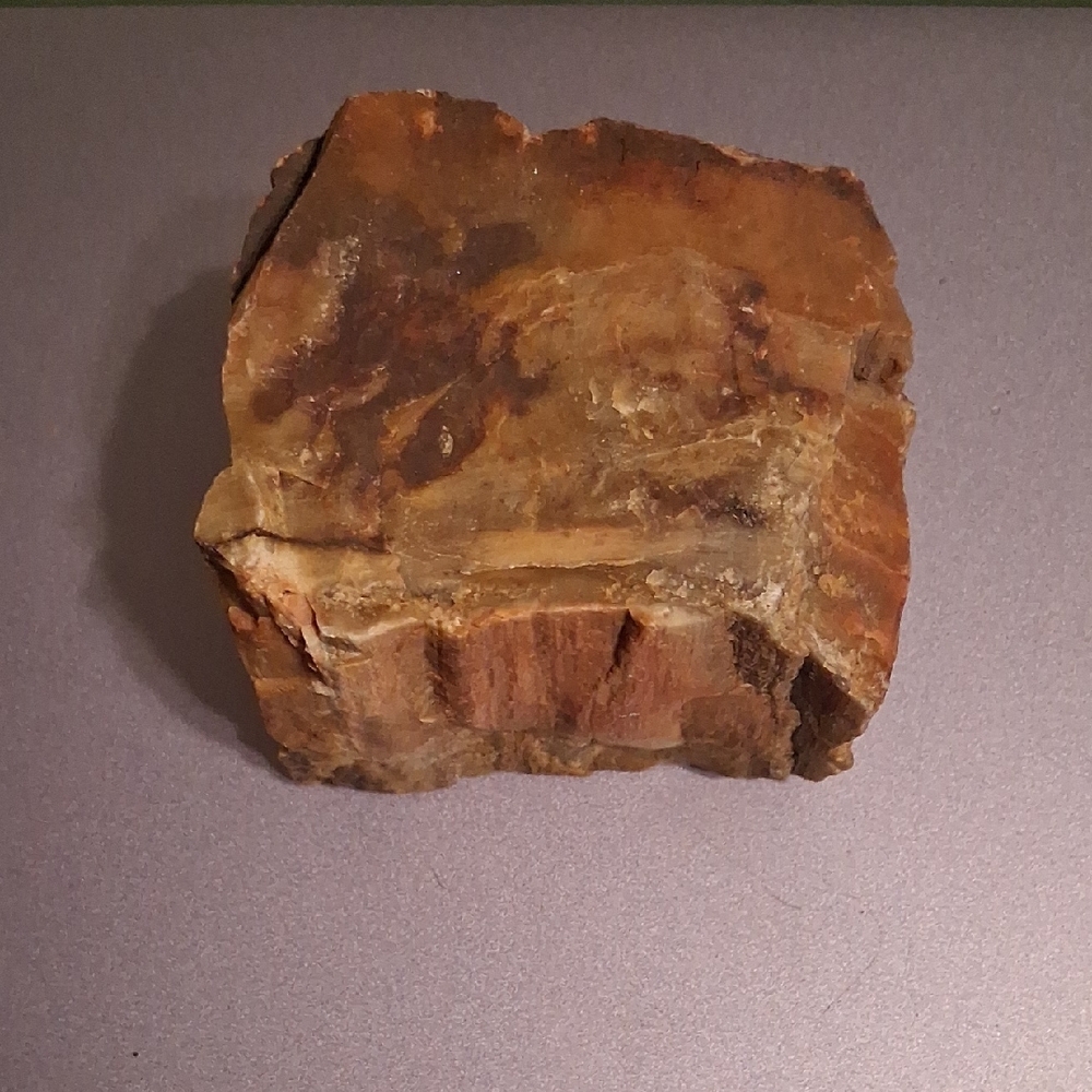 Natural Brown Reptile Terrarium Rock